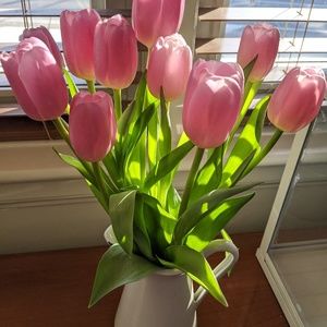 Meet your Posher, Miran